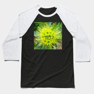 Golden Penda (Xanthostemon chrysanthus) Baseball T-Shirt